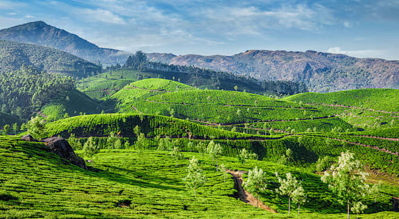 Wayanad