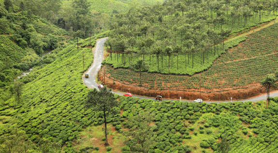 Vagamon