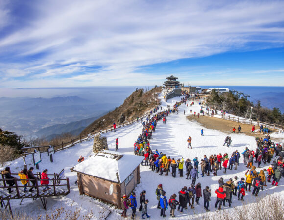 Srinagar Tour