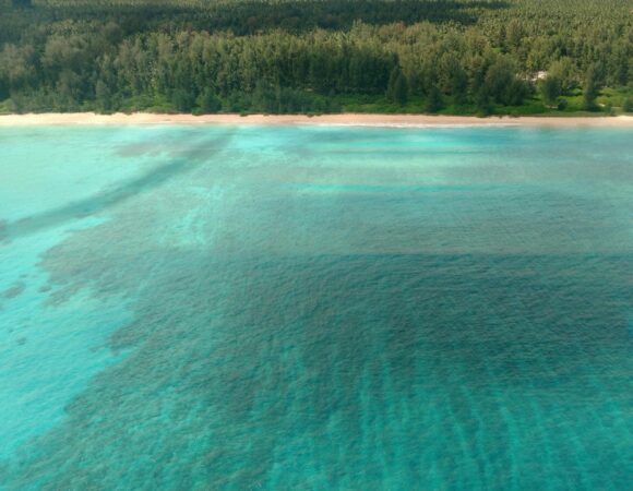 Cherished Family Moments: Andaman Tour Package