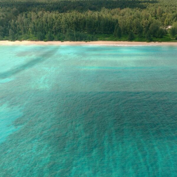 Cherished Family Moments: Andaman Tour Package