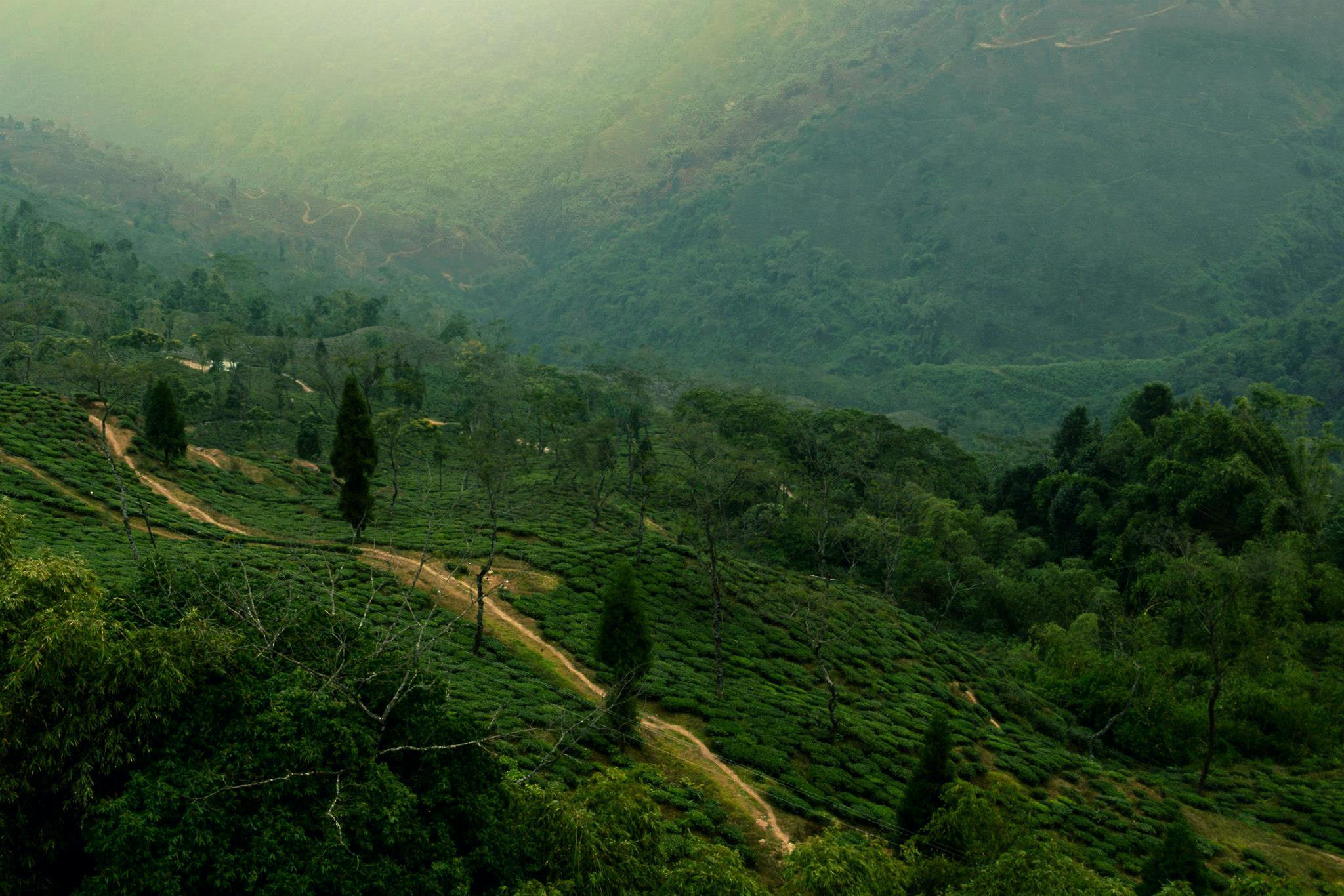 East & West Sikkim with Darjeeling Tour Package